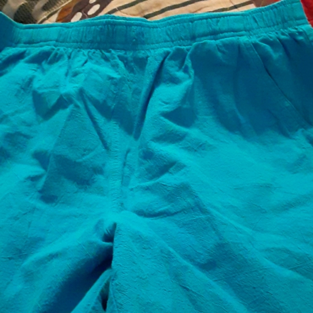 Kim Roger's 1g turquoise  shorts